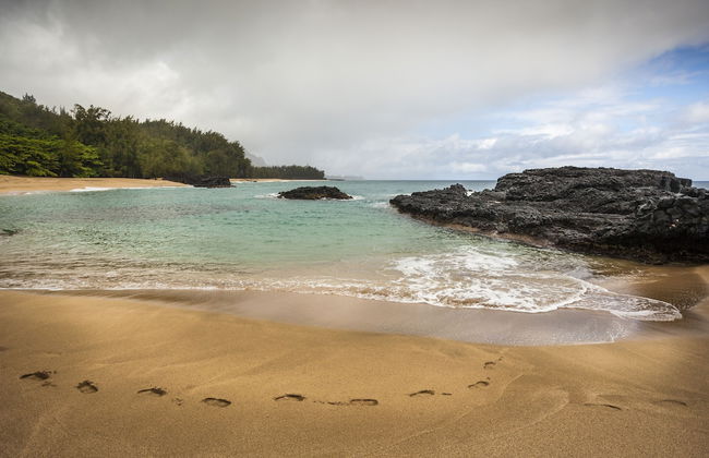 Emmalani Court 411 - Photo 33