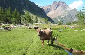 La Piana Appartamenti - Photo 11