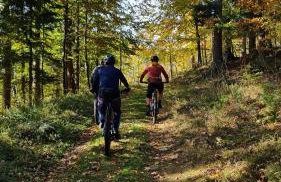 Domek Koziołek przy szlaku, Szyndzielnia, Klimczok, Szczyrk, Bania - Foto 41