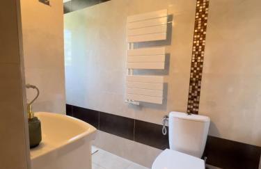 Pensjonat Dzianiszówka - Basen Jacuzzi Sauna - Foto 43