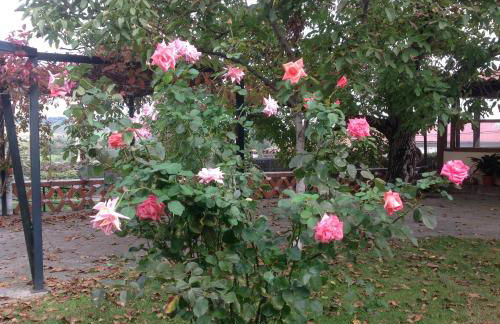 Casa Rural del Corral - Foto 51