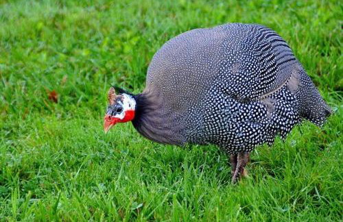 2 Bed in Whitwell oc-o33499 - Foto 24