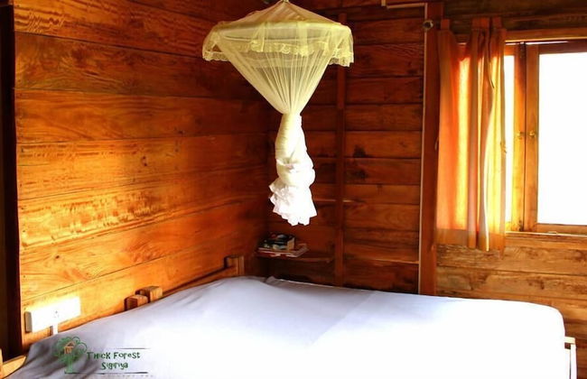 Thick forest sigiriya - Photo 12