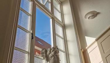 Villa Deichvoigt - Foto 5