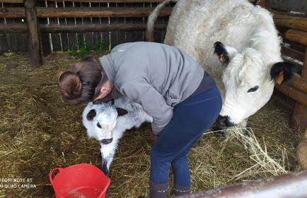 Ferme Can Llull - Foto 16