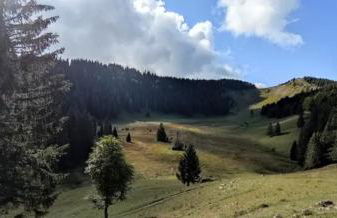 Cahute de montagne - Foto 9