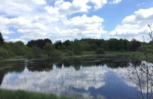 Ferienhaus Ferienwohnung Petermännchen - Foto 36