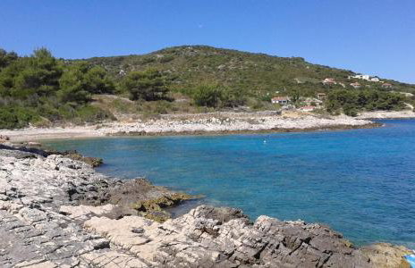 Apartment Žalo - Photo 20