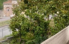 Appartamento Giacomo Leopardi - Foto 13