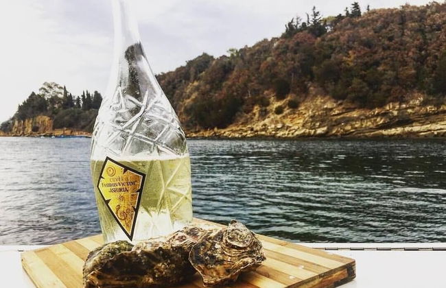 Podere La Tona - Foto 40