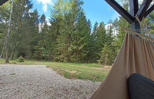 Zdalnie z Lasu - Siedlisko w Puszczy Białowieskiej - Foto 31