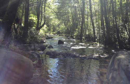 Casa Rural Mollo, Vall de Camprodon - Foto 62