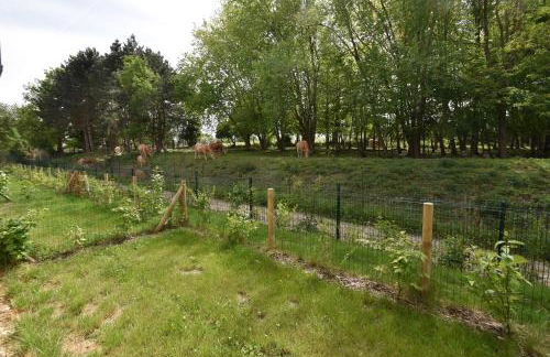 Le Temps d'une Escale à St Wary - Foto 18