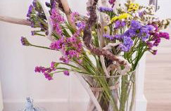 Sakarun - Ena - Photo 43