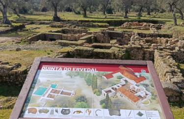 Casa da Vinha - Photo 69