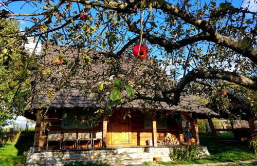 Jabłoniowy Sad Kalwaria Pacławska - Foto 40