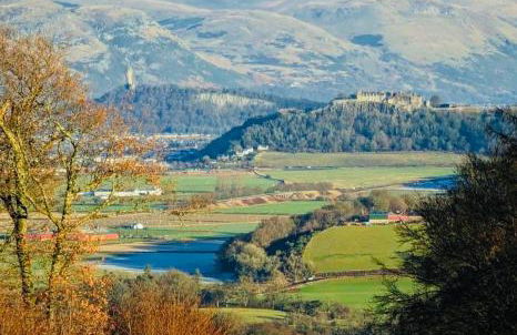 Cosy Cottage - Photo 16