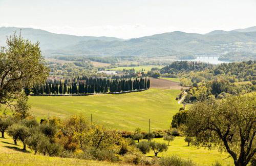 Borghetto Il Poggiolo Mugello - Affitti Brevi Italia - Foto 33