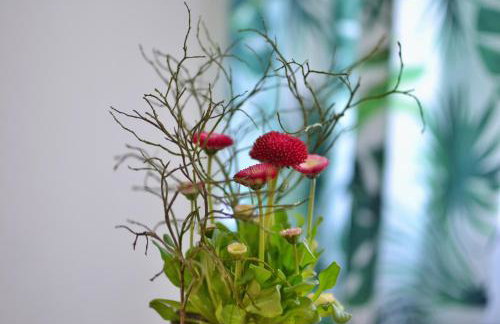 Domek na Szlaku - Foto 45