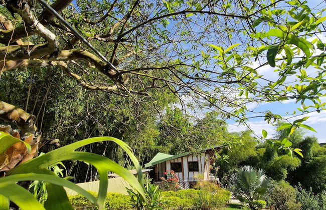 Bhutan Filandia - Photo 46