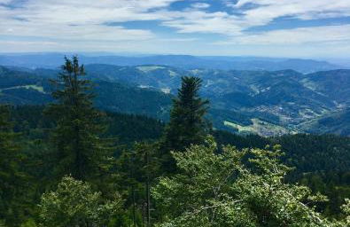 Blackforest Apartment - Foto 38