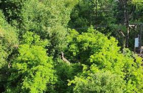 Creekside Craftsman Cabin with Jacuzzi - Alpine Splendor 6 Mins to downtown - Photo 8