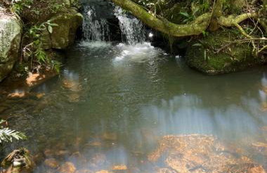 Cabana do Lago- Morro da Borússia - Foto 52