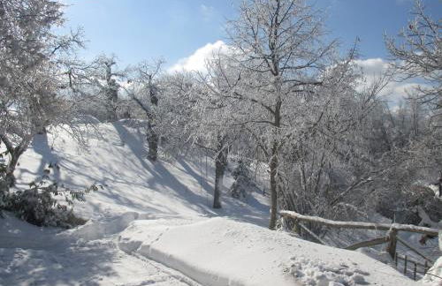 Cà Dalilà relax natura e familia - Photo 38