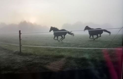 Ti Gwen charming cottage in Douarnenez Bay - Foto 32