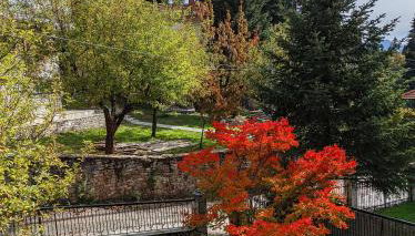 The House with the Hydrangeas - Foto 5, Garden