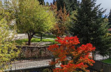 The House with the Hydrangeas - Foto 5