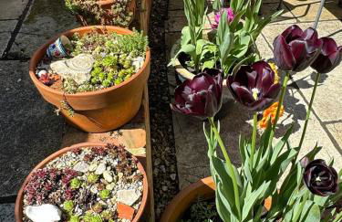 Spacious Edwardian home - Foto 34