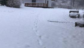 Domek Pod Skałkami - Foto 5