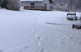 Domek Pod Skałkami - Foto 5