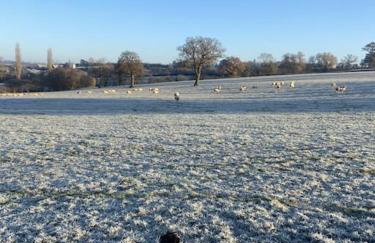 Coach House - detached cottage within 135 acres - Foto 44