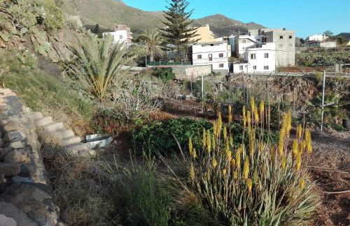 Finca Patio Canario - Foto 28