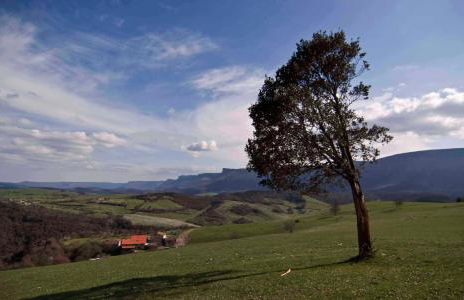 Zelaikoetxe - Foto 26