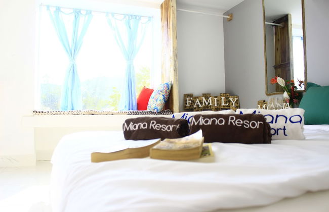 Miana Home - Foto 14