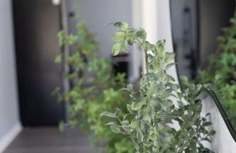 5 Min to Elon - In Unit Washer and Dryer - Fast Wi-Fi - Foto 22