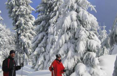 Ferienwohnung Panorama - Foto 54