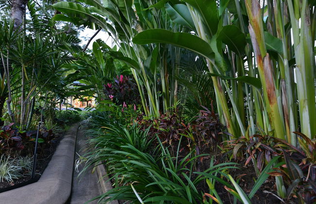 Port Douglas Apartments - Adults Only Oasis - Foto 60