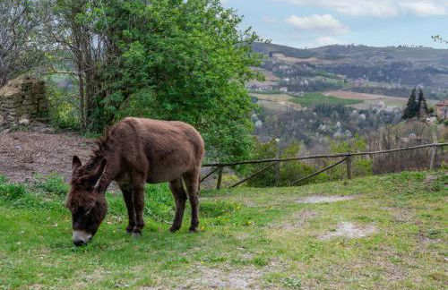 Holiday Home La Rovere by Interhome - Foto 74