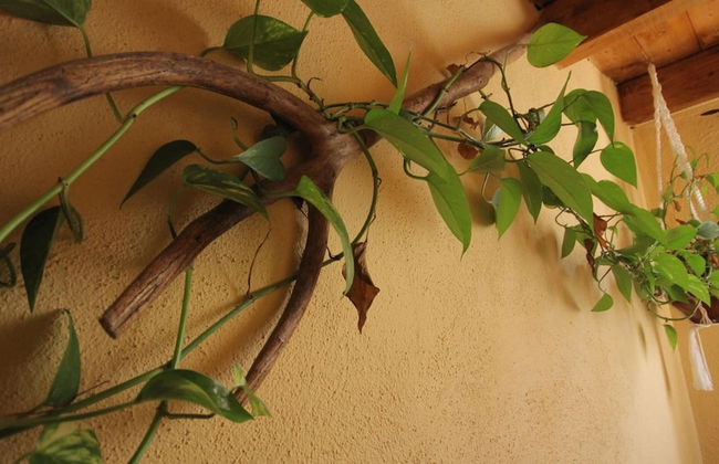 Alojamientos rurales Angelita - Foto 38