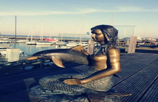 Apartment near Insel Poel - Foto 25