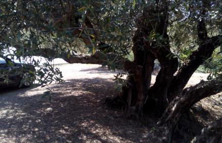 Tzitzifes Stone Mansion - Foto 33