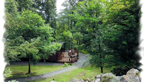 Blelham Tarn Rustic cabin in tranquil woodland - Foto 3, Garden