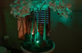 Cathedral-luxury-stay sauna & massage - Foto 31