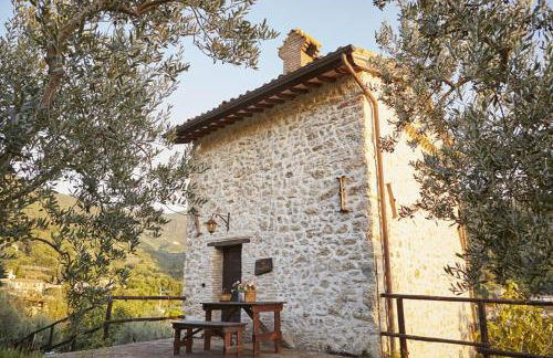 Agriturismo Il Casalino - Photo 61