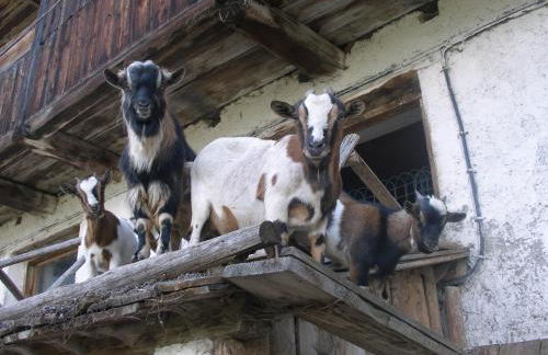 Oberschoellberghof - Photo 14