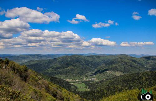 L'Atypique Vosgien - Foto 20